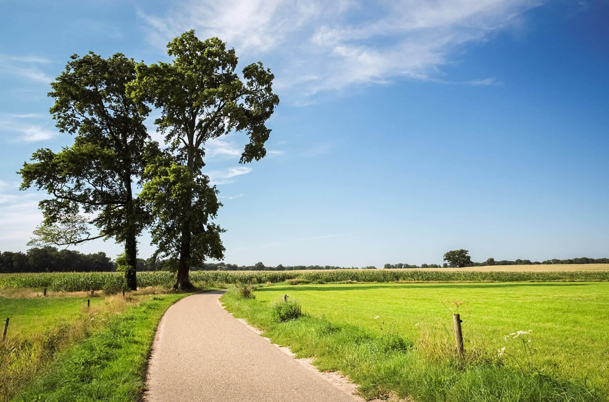 shutterstock_1188361903_verkleind